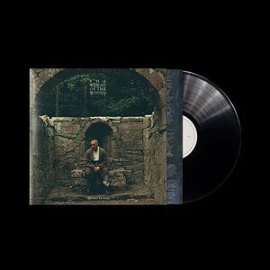 Dermot Kennedy - The Weight of the Woods  LP LP